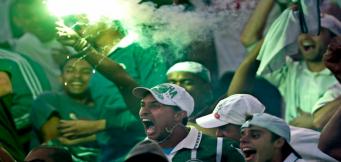 La torcida del Palmeiras!