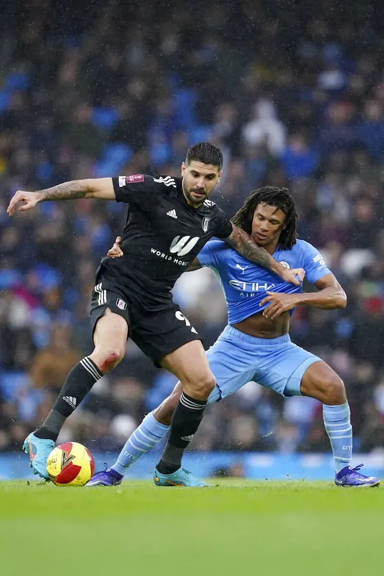 Mitrovic del Fulham